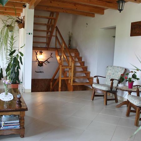 Casa Altius Felix Διαμέρισμα Băile Felix Εξωτερικό φωτογραφία