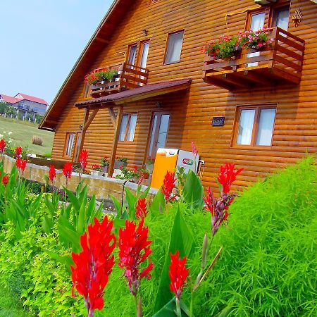 Casa Altius Felix Διαμέρισμα Băile Felix Εξωτερικό φωτογραφία