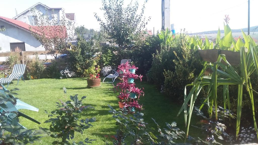 Casa Altius Felix Διαμέρισμα Băile Felix Εξωτερικό φωτογραφία